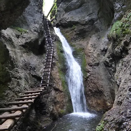 - Woodyganovce Sk * Poprad