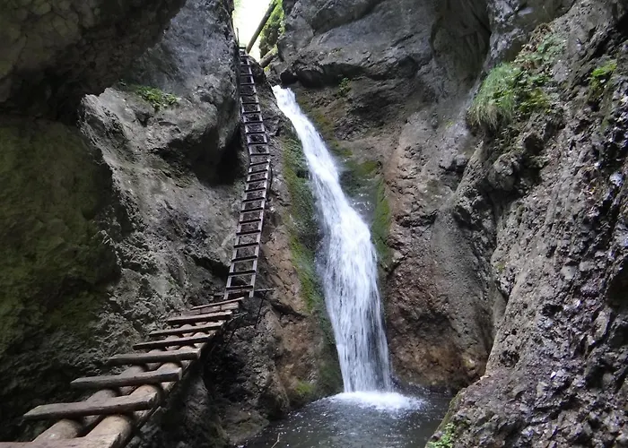 - Woodyganovce Sk * Poprad